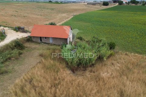 Masia a Santarem, Santarem, Santarem - € 47.000 | Ref: 061525 - foto 2