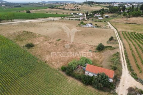 Masia a Santarem, Santarem, Santarem - € 47.000 | Ref: 061525 - foto 3