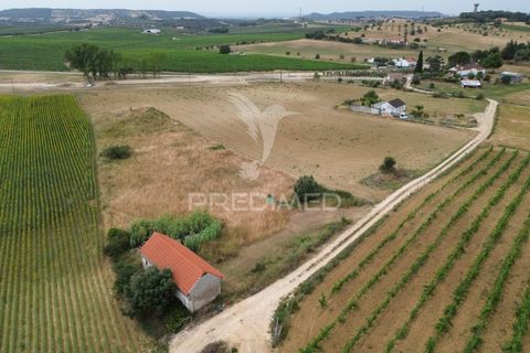 Masia a Santarem, Santarem, Santarem - € 47.000 | Ref: 061525 - foto 4
