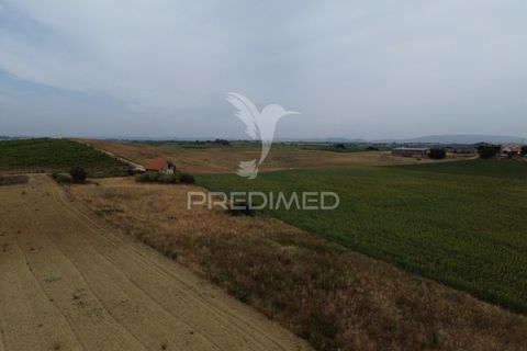 Masia a Santarem, Santarem, Santarem - € 47.000 | Ref: 061525 - foto 5