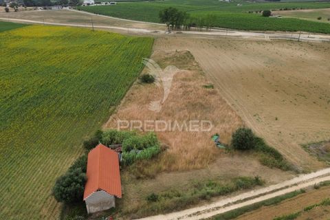 Masia a Santarem, Santarem, Santarem - € 47.000 | Ref: 061525 - foto 6