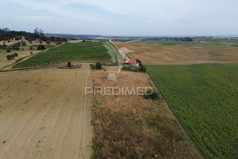 Masia a Santarem, Santarem, Santarem - € 47.000 | Ref: 061525 - foto 7