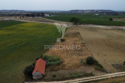 Masia a Santarem, Santarem, Santarem - € 47.000 | Ref: 061525 - foto 9