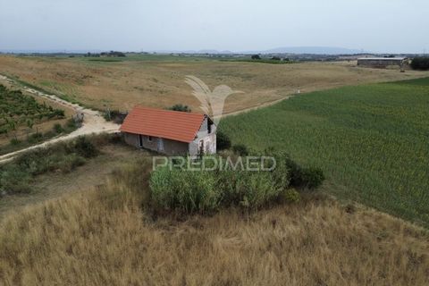 Masia a Santarem, Santarem, Santarem - € 47.000 | Ref: 061525 - foto 10