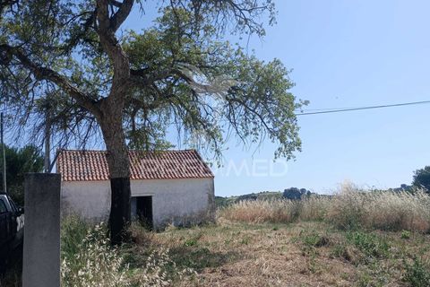 Helårsgrund i Azambuja, Lisbon, Azambuja - € 46.000 | Ref: 061536 - foto 3