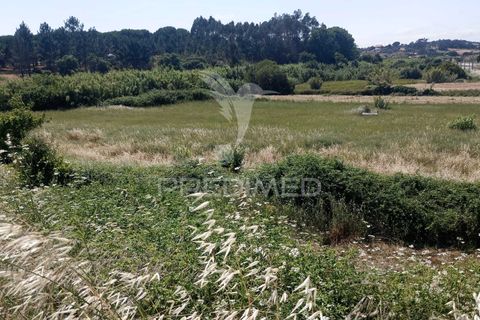 Helårsgrund i Azambuja, Lisbon, Azambuja - € 46.000 | Ref: 061536 - foto 10
