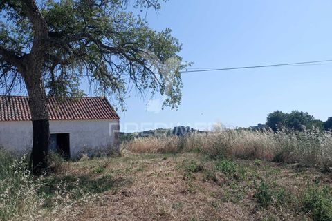 Helårsgrund i Azambuja, Lisbon, Azambuja - € 46.000 | Ref: 061536 - foto 14