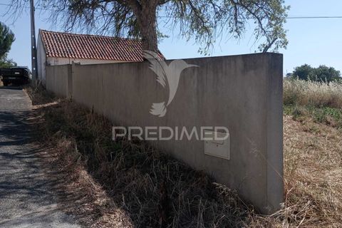 Helårsgrund i Azambuja, Lisbon, Azambuja - € 46.000 | Ref: 061536 - foto 15