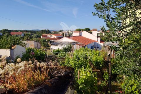 Stadthaus in Constancia, Santarem, Constancia - € 28.500 | Ref: 061316 - Foto 9