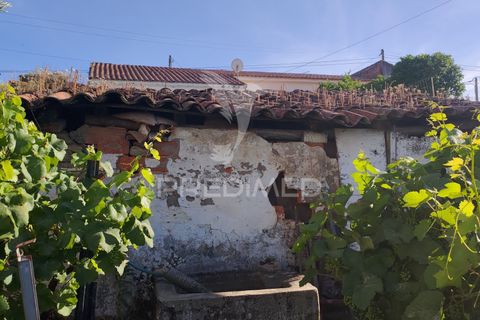 Stadthaus in Constancia, Santarem, Constancia - € 28.500 | Ref: 061316 - Foto 12