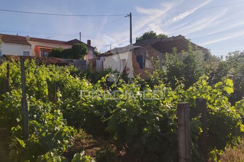 Stadthaus in Constancia, Santarem, Constancia - € 28.500 | Ref: 061316 - Foto 17