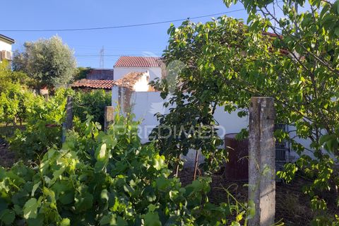 Stadthaus in Constancia, Santarem, Constancia - € 28.500 | Ref: 061316 - Foto 19