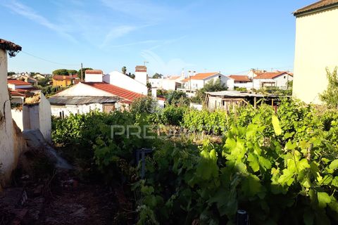 Stadthaus in Constancia, Santarem, Constancia - € 28.500 | Ref: 061316 - Foto 29
