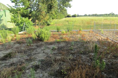 Stadthaus in Borgoricco, Padua, Borgoricco - € 255.000 | Ref: 1309E - Foto 4
