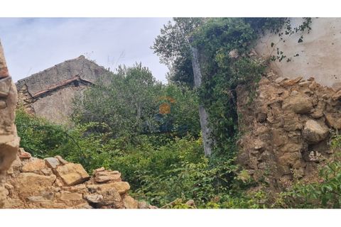 Farm i Torres Vedras, Lisbon, Torres Vedras - € 108.000 | Ref: MTM6885 - foto 2