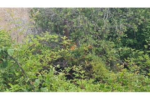 Farm i Torres Vedras, Lisbon, Torres Vedras - € 108.000 | Ref: MTM6885 - foto 3
