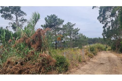 Farm i Torres Vedras, Lisbon, Torres Vedras - € 108.000 | Ref: MTM6885 - foto 4