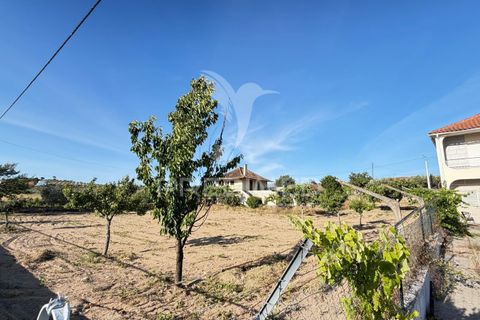 Byhus i Mirandela, Braganca, Mirandela - € 140.000 | Ref: 061461 - foto 5