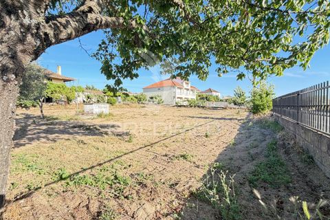 Byhus i Mirandela, Braganca, Mirandela - € 140.000 | Ref: 061461 - foto 6
