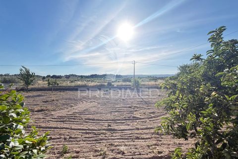 Byhus i Mirandela, Braganca, Mirandela - € 140.000 | Ref: 061461 - foto 8