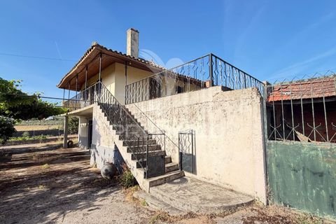 Byhus i Mirandela, Braganca, Mirandela - € 140.000 | Ref: 061461 - foto 11