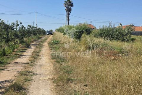 Helårsgrund i Alcobaca, Leiria, Alcobaca - € 35.000 | Ref: 061496 - foto 1