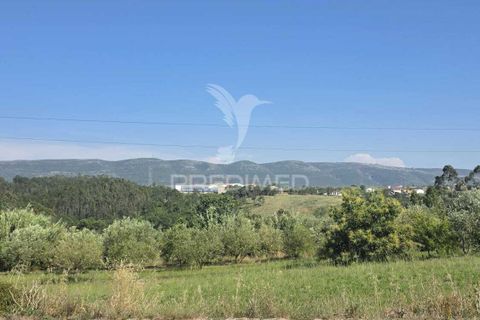 Helårsgrund i Alcobaca, Leiria, Alcobaca - € 35.000 | Ref: 061496 - foto 2