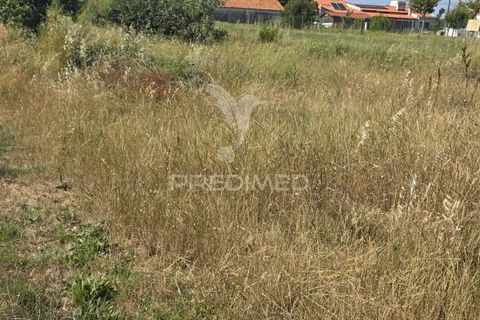 Helårsgrund i Alcobaca, Leiria, Alcobaca - € 35.000 | Ref: 061496 - foto 3