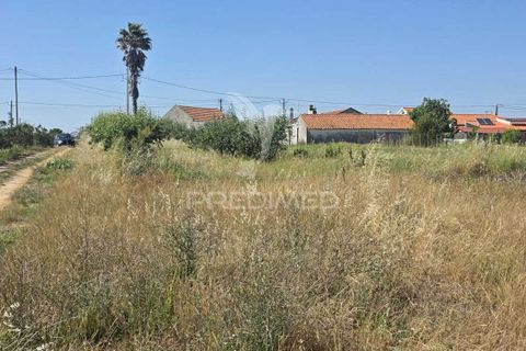 Helårsgrund i Alcobaca, Leiria, Alcobaca - € 35.000 | Ref: 061496 - foto 4