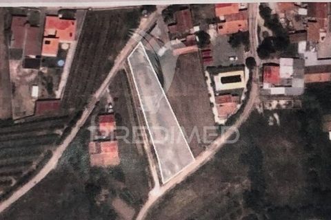 Helårsgrund i Alcobaca, Leiria, Alcobaca - € 35.000 | Ref: 061496 - foto 5