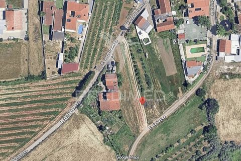 Helårsgrund i Alcobaca, Leiria, Alcobaca - € 35.000 | Ref: 061496 - foto 6
