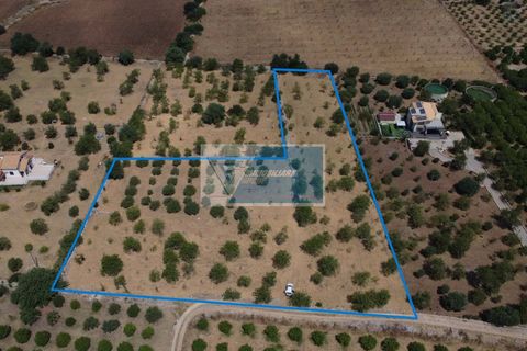 Helårsgrund i Avola, Siracusa, Avola - € 50.000 | Ref: AV TER 18 - foto 1