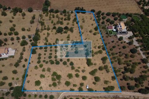 Helårsgrund i Avola, Siracusa, Avola - € 50.000 | Ref: AV TER 18 - foto 2