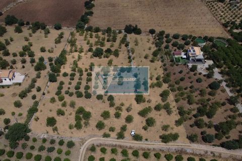 Helårsgrund i Avola, Siracusa, Avola - € 50.000 | Ref: AV TER 18 - foto 3