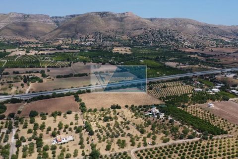 Helårsgrund i Avola, Siracusa, Avola - € 50.000 | Ref: AV TER 18 - foto 4