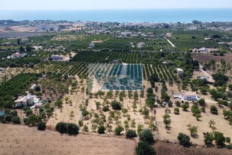 Helårsgrund i Avola, Siracusa, Avola - € 50.000 | Ref: AV TER 18 - foto 5