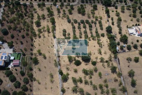 Helårsgrund i Avola, Siracusa, Avola - € 50.000 | Ref: AV TER 18 - foto 6
