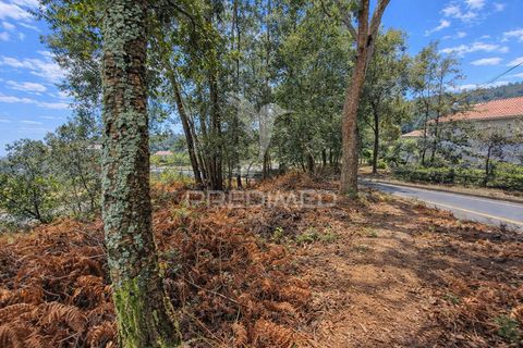 Tomt i Vila Verde, Braga, Vila Verde - € 39 000 | Ref: 061599 - foto 7