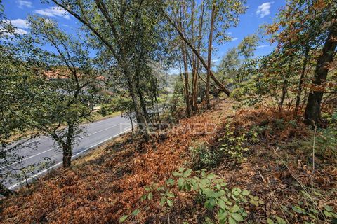 Tomt i Vila Verde, Braga, Vila Verde - € 39 000 | Ref: 061599 - foto 9