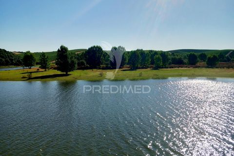 Terra a Alandroal, Evora, Alandroal - € 65.000 | Ref: 061628 - foto 3