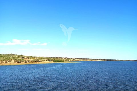 Terra a Alandroal, Evora, Alandroal - € 65.000 | Ref: 061628 - foto 4