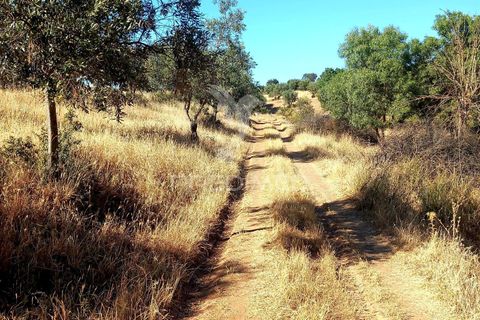 Terra a Alandroal, Evora, Alandroal - € 65.000 | Ref: 061628 - foto 5