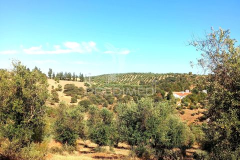 Terra a Alandroal, Evora, Alandroal - € 65.000 | Ref: 061628 - foto 14