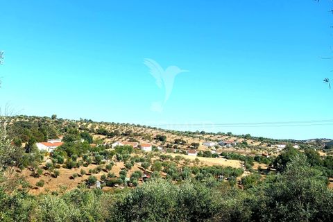 Terra a Alandroal, Evora, Alandroal - € 65.000 | Ref: 061628 - foto 15