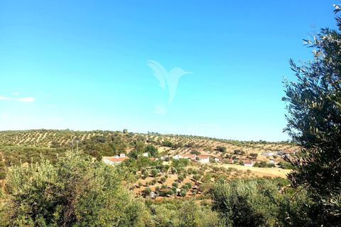 Terra a Alandroal, Evora, Alandroal - € 65.000 | Ref: 061628 - foto 17