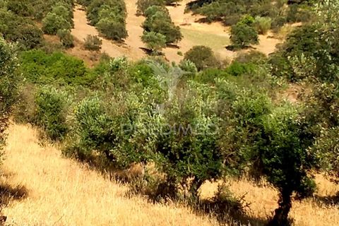 Terra a Alandroal, Evora, Alandroal - € 65.000 | Ref: 061628 - foto 18