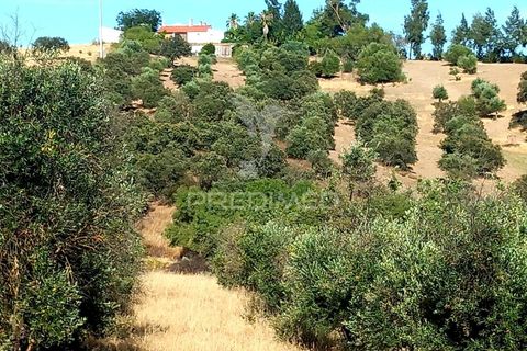Terra a Alandroal, Evora, Alandroal - € 65.000 | Ref: 061628 - foto 19