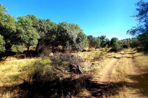 Terra a Alandroal, Evora, Alandroal - € 65.000 | Ref: 061628 - foto 20