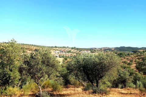 Terra a Alandroal, Evora, Alandroal - € 65.000 | Ref: 061628 - foto 21
