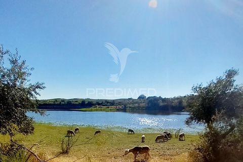 Terra a Alandroal, Evora, Alandroal - € 65.000 | Ref: 061628 - foto 22